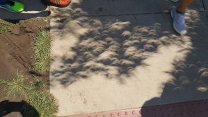 Photo of shadows during a solar eclipse