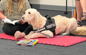 Pet Therapy of the Ozarks is bringing dogs to help you de-stress around finals time. They will be on the first floor of the Duane G. Meyer Library.