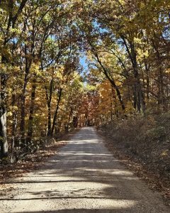 Fall colors on York Road downhill from the Glade Top Trail in Ozark County