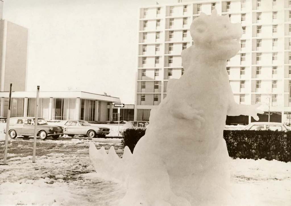 Picture of a snowman in the shape of a dinosaur outside on the lawn across the street from the Blair Shannon Dining Room